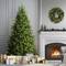 7.5ft. Pre-Lit PowerConnect™ Princeton Fraser Fir Artificial Christmas Tree, Dual Color® LED Lights
